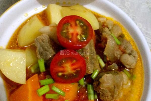 西红柿炖牛肉的做法图解9