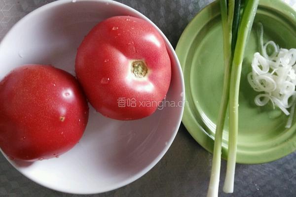 西红柿凉拌面的做法图解1