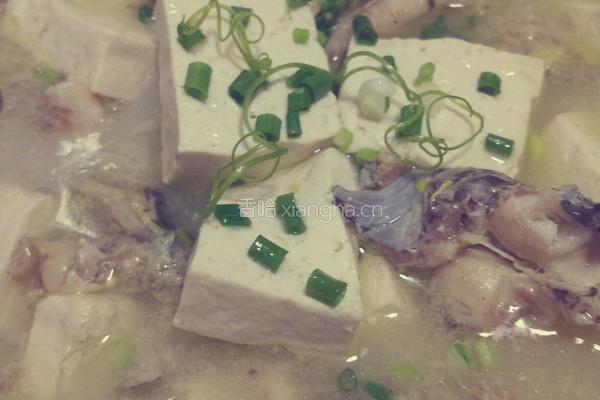 鱼炖豆腐的做法图解14