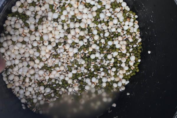 绿豆薏米芡实粥的做法图解3