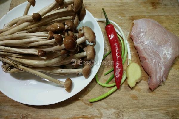 鲜茶树菇炒肉的做法图解1