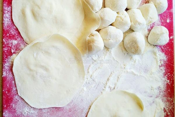 鲅鱼水饺的做法图解7