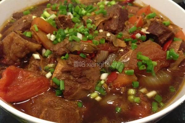 西红柿牛腩煲的做法图解8