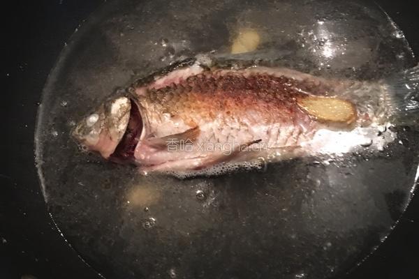 鲫鱼豆腐汤的做法图解4