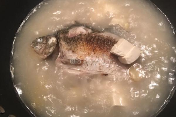 鲫鱼豆腐汤的做法图解5
