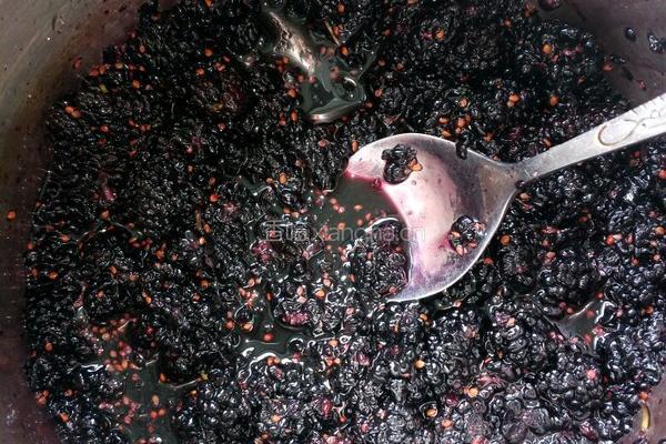 自制桑葚果酱的做法图解4