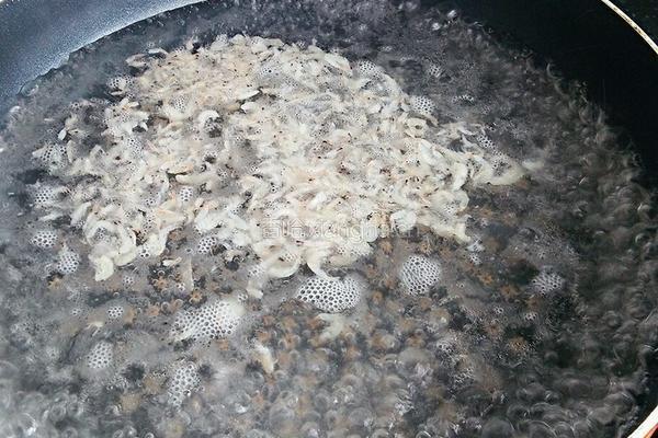 小白菜豆腐汤的做法图解5