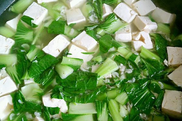 小白菜豆腐汤的做法图解8