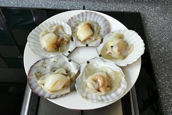 粉丝扇贝的做法图解4