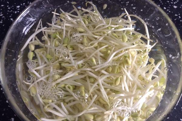 炒黄豆芽的做法图解1