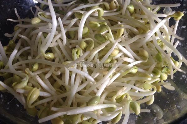 炒黄豆芽的做法图解2