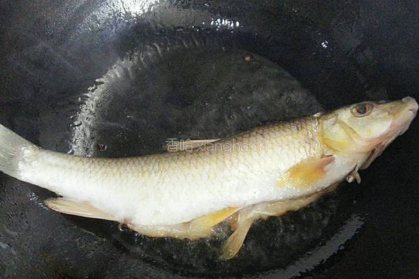 奶白鲫鱼豆腐汤的做法图解4