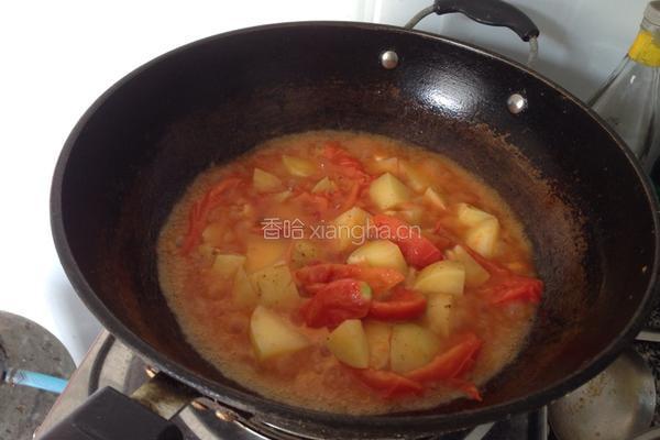 西红柿炖土豆的做法图解5