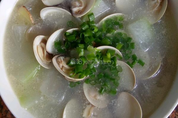 蛤蜊冬瓜汤的做法图解8
