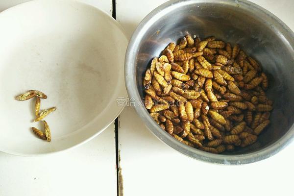 香辣开边蚕蛹的做法图解5