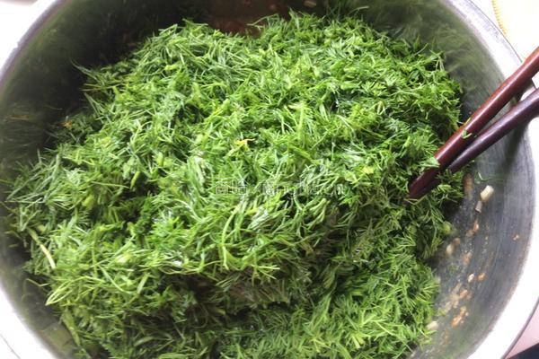 茴香苗素水饺的做法图解7