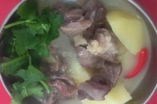 土豆炖牛腩的做法图解8