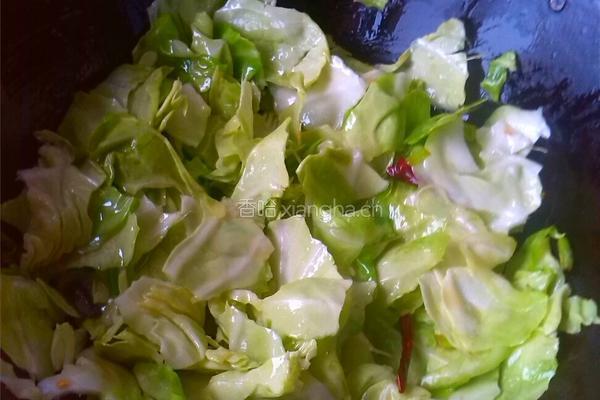 蚝油手撕包菜的做法图解5