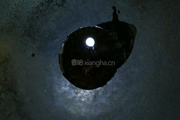 毛豆烧鸡的做法图解5