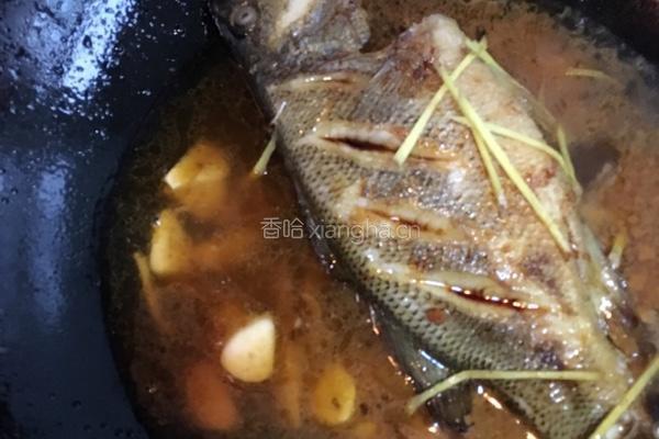 焖海鲈鱼的做法图解5