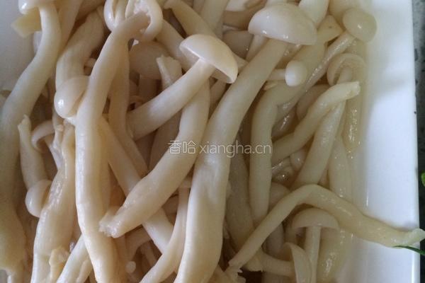 肉炒蘑菇的做法图解4