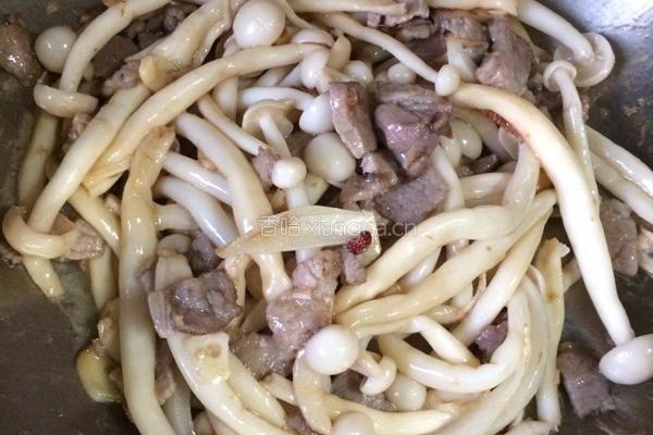 肉炒蘑菇的做法图解8