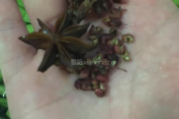 香辣毛豆的做法图解2