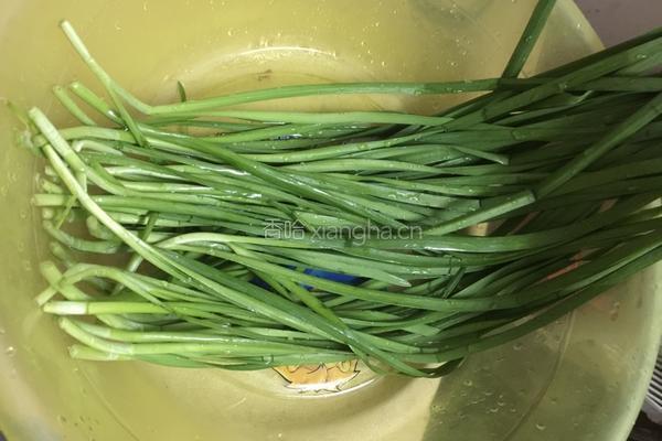 韭菜炒绿豆芽的做法图解2