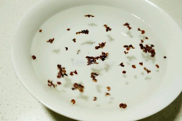 自制花椒水的做法图解2