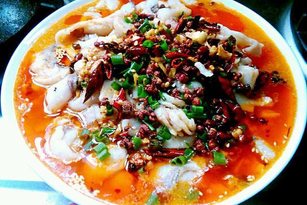 家常水煮鱼的做法图解20
