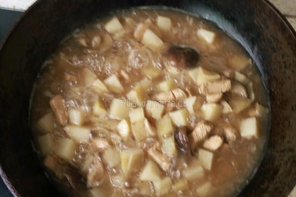 鸡块炖土豆的做法图解17