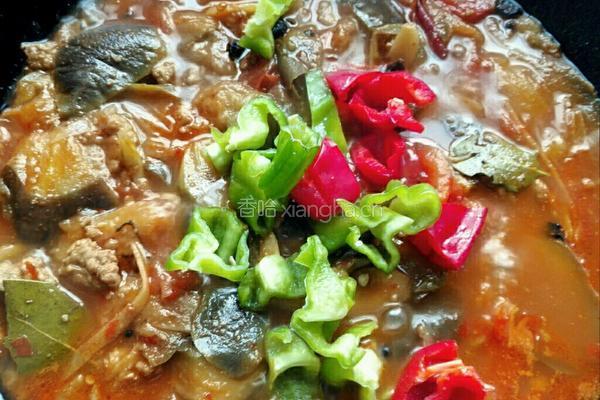 酱香肉末烧茄子的做法图解9