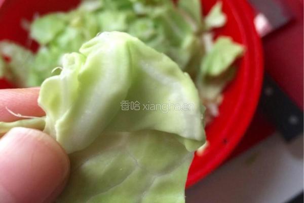 手撕包菜的做法图解2