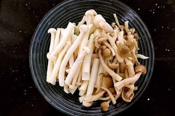 蘑菇汤的做法图解1