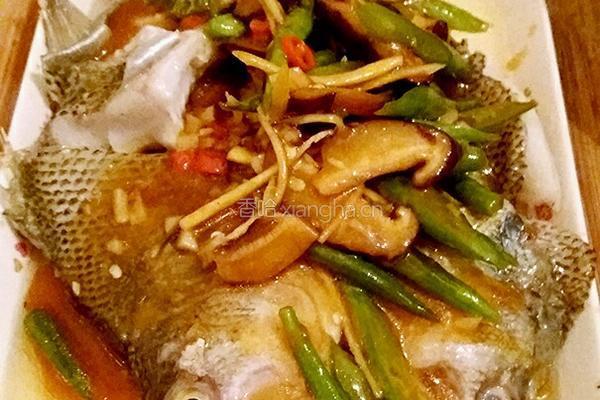 红烧鲈鱼的做法图解11