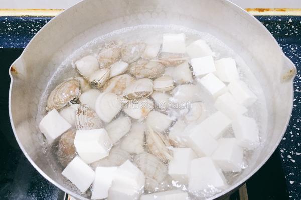 豆腐蛤蜊汤的做法图解5