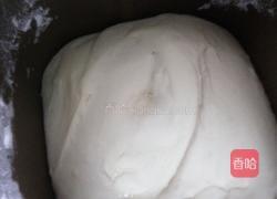 菜包子的做法图解8
