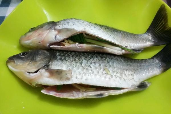 清炖鲫鱼汤的做法图解4