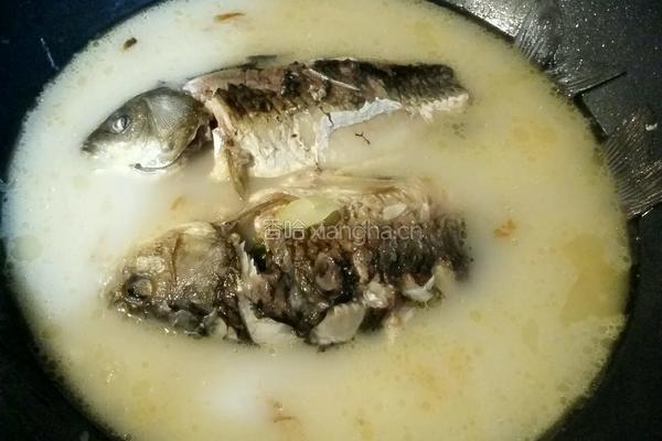 清炖鲫鱼汤的做法图解9