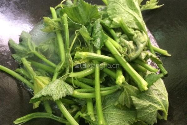 水煮南瓜苗的做法图解4