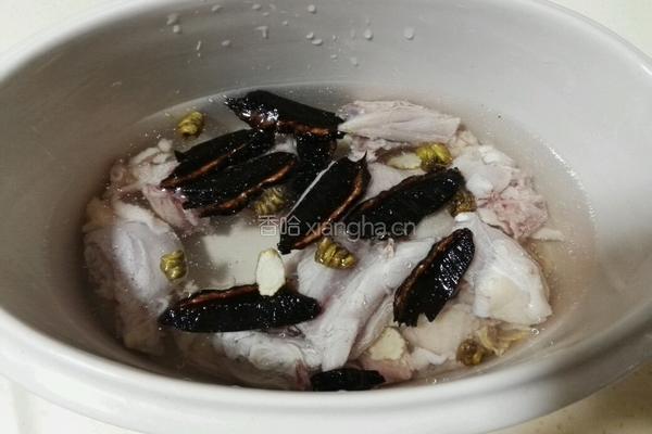 石斛灵芝炖鸡汤的做法图解4