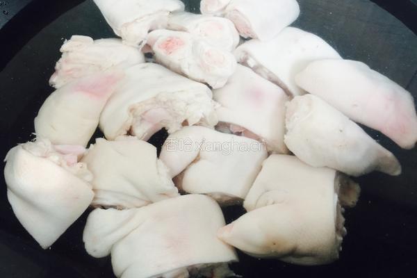 黄豆花生猪蹄煲的做法图解3