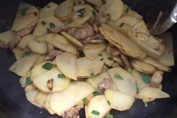 土豆片炒肉的做法图解5