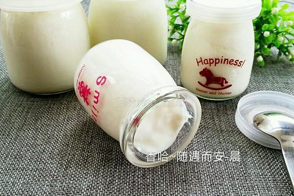 制作酸奶的做法图解17