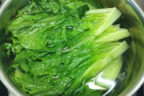 白灼油麦菜的做法图解5