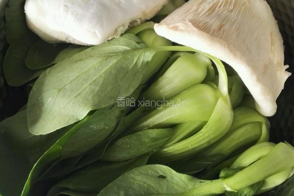 油菜蘑菇的做法图解2