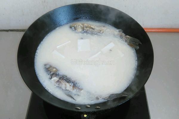 清炖鲫鱼的做法图解3