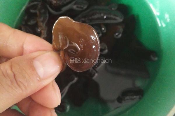 济南木须肉的做法图解4