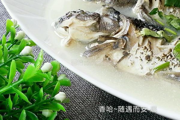 清炖鱼的做法图解15