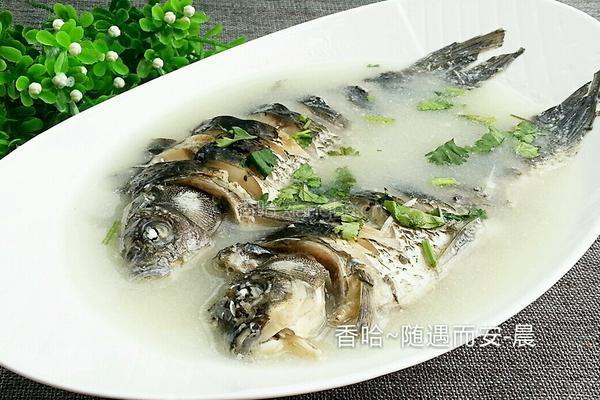 清炖鱼的做法图解16
